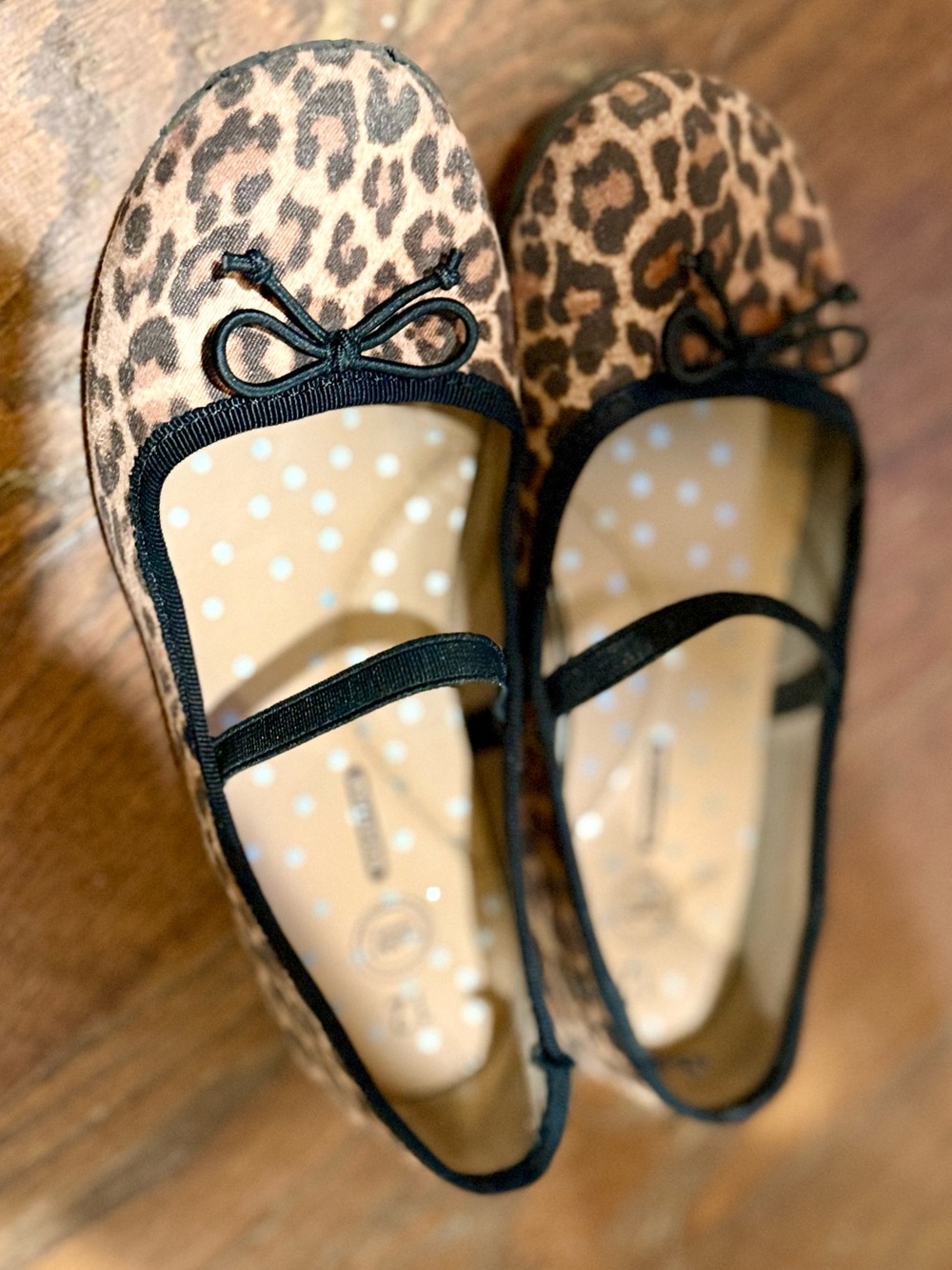 Girls Leopard Print Ballet Slippers with Black Trim